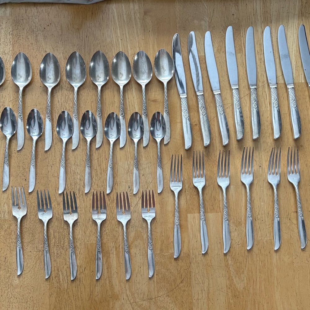 Wm Rogers Oneida Wildwood‎ I Always Silver Plate 8 Place Setting 40 Pieces 1958